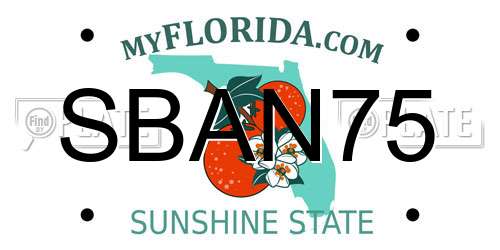 SBAN75 Florida License Plate