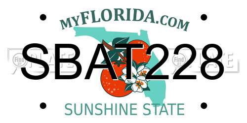 SBAT228 Florida License Plate