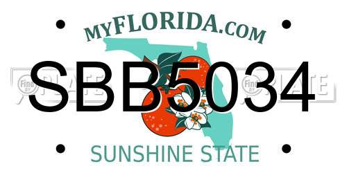 SBB5034 Florida License Plate