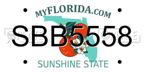 SBB5558 Florida License Plate