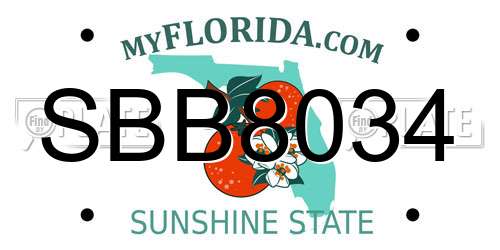 SBB8034 Florida License Plate