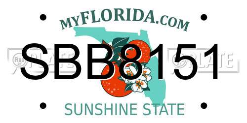SBB8151 Florida License Plate