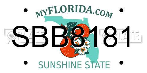 SBB8181 Florida License Plate