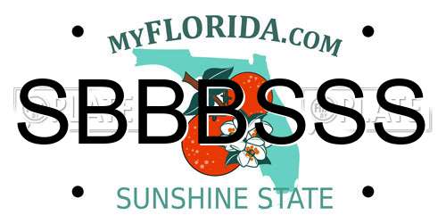 SBBBSSS Florida License Plate