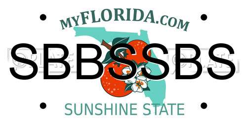 SBBSSBS Florida License Plate
