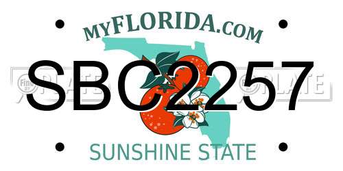 SBC2257 Florida License Plate