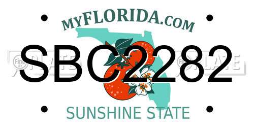 SBC2282 Florida License Plate
