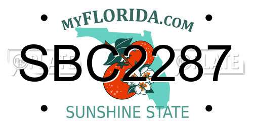 SBC2287 Florida License Plate