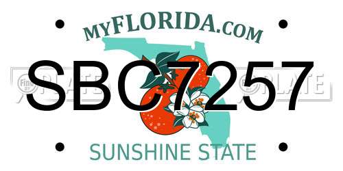 SBC7257 Florida License Plate