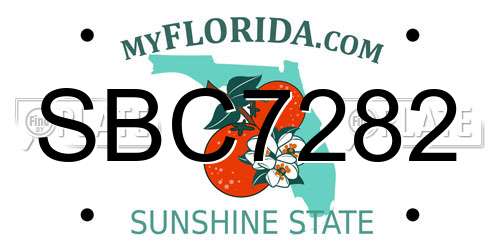 SBC7282 Florida License Plate