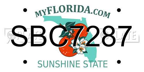 SBC7287 Florida License Plate