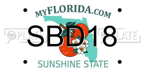 SBD18 Florida License Plate