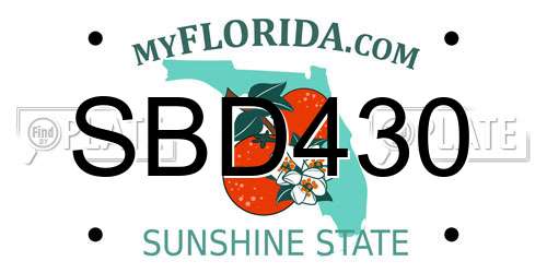 SBD430 Florida License Plate
