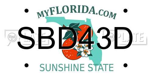 SBD43D Florida License Plate