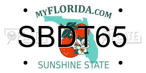 SBDT65 Florida License Plate