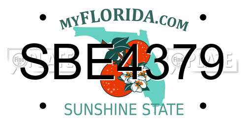 SBE4379 Florida License Plate