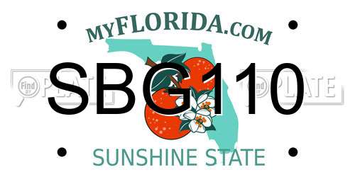 SBG110 Florida License Plate