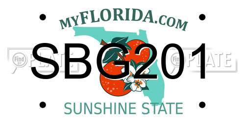 SBG201 Florida License Plate