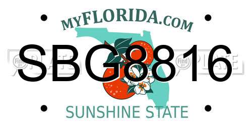 SBG8816 Florida License Plate