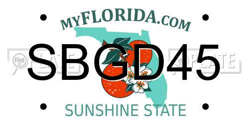 SBGD45 Florida License Plate