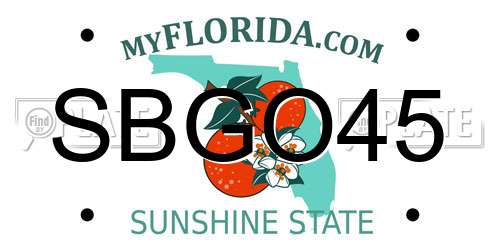 SBGO45 Florida License Plate
