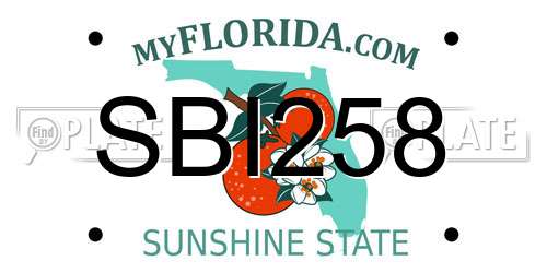 SBI258 Florida License Plate