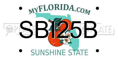 SBI25B Florida License Plate
