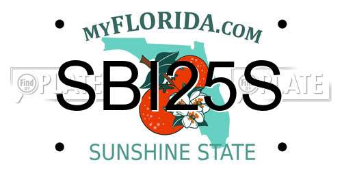 SBI25S Florida License Plate