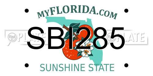 SBI285 Florida License Plate