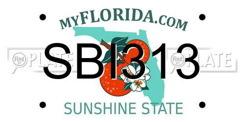 SBI313 Florida License Plate
