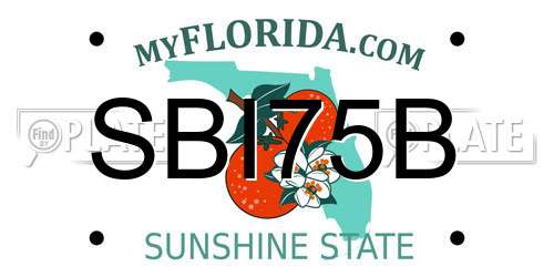 SBI75B Florida License Plate