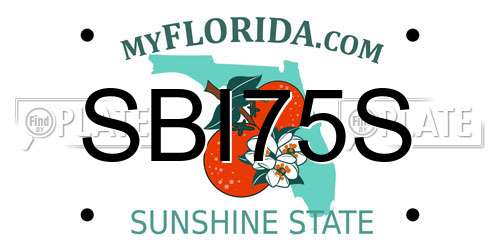 SBI75S Florida License Plate