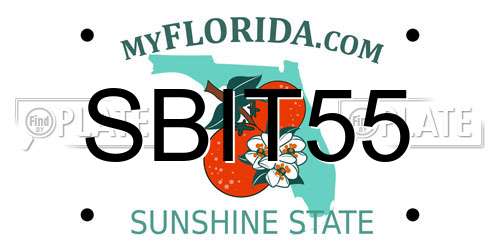 SBIT55 Florida License Plate