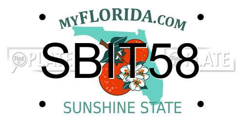 SBIT58 Florida License Plate