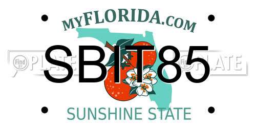 SBIT85 Florida License Plate