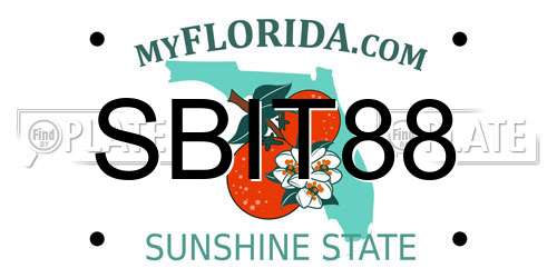 SBIT88 Florida License Plate