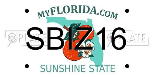 SBIZ16 Florida License Plate