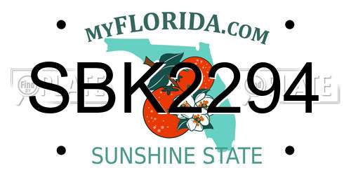 SBK2294 Florida License Plate
