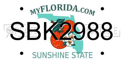 SBK2988 Florida License Plate