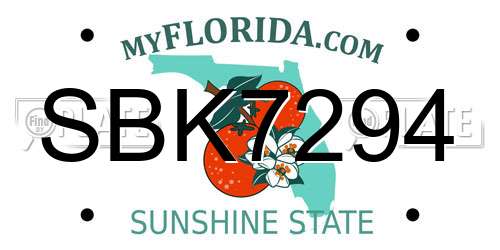 SBK7294 Florida License Plate