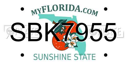 SBK7955 Florida License Plate