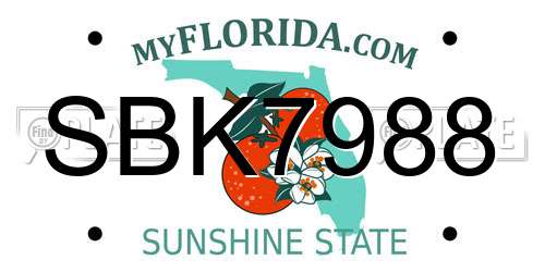 SBK7988 Florida License Plate