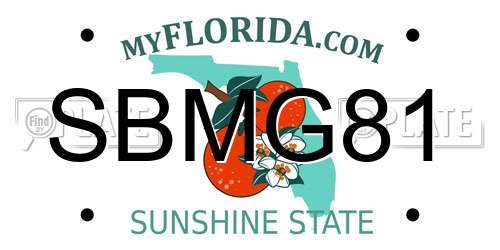 SBMG81 Florida License Plate
