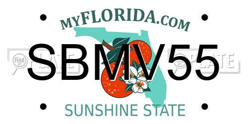 SBMV55 Florida License Plate