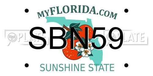 SBN59 Florida License Plate