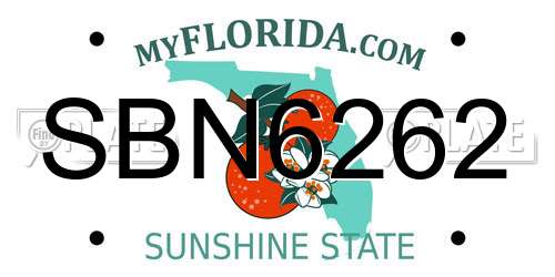 SBN6262 Florida License Plate