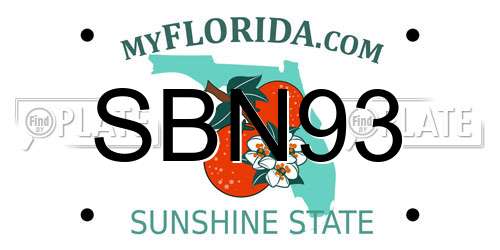 SBN93 Florida License Plate