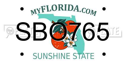 SBO765 Florida License Plate