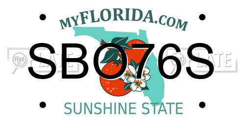 SBO76S Florida License Plate