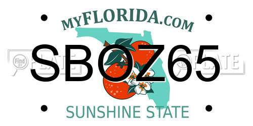 SBOZ65 Florida License Plate